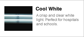Cool White