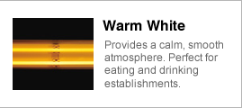 Warm White
